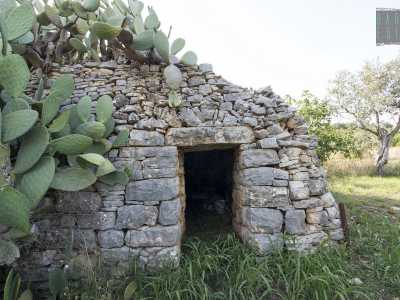 Incrociamo un �pagliaro�, ovvero una costruzione simile a un trullo utilizzata in passato come ricovero per i contadini...
